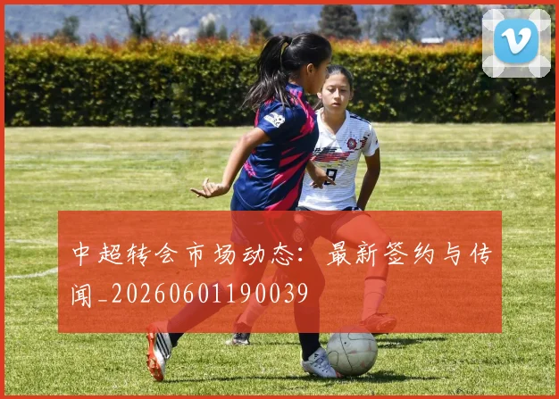 中超转会市场动态:最新签约与传闻_20260601190039